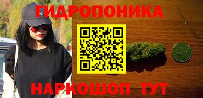 прущие крисы Краснознаменск