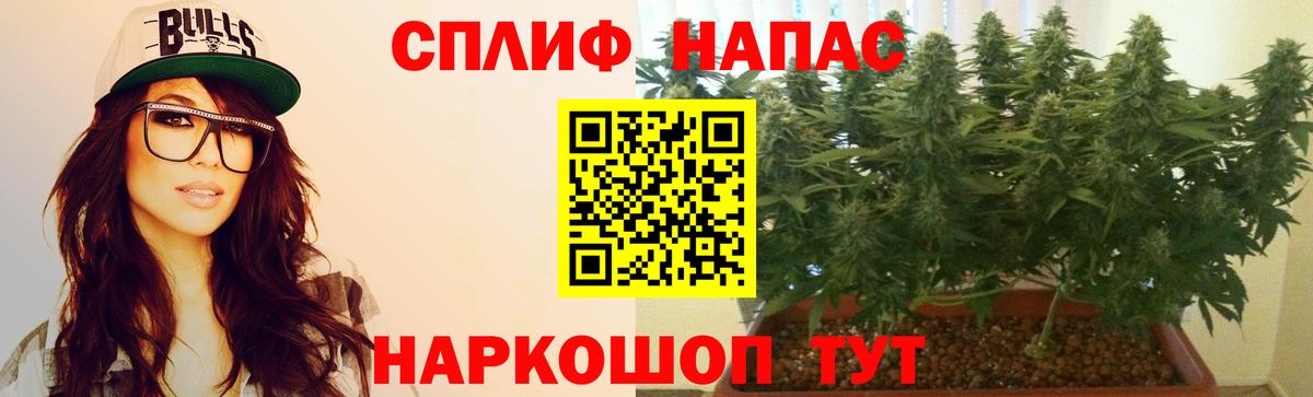 Марихуана ГИДРОПОН Гай